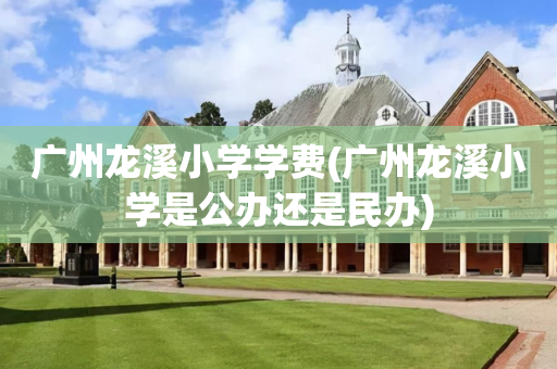 广州龙溪小学学费(广州龙溪小学是公办还是民办)