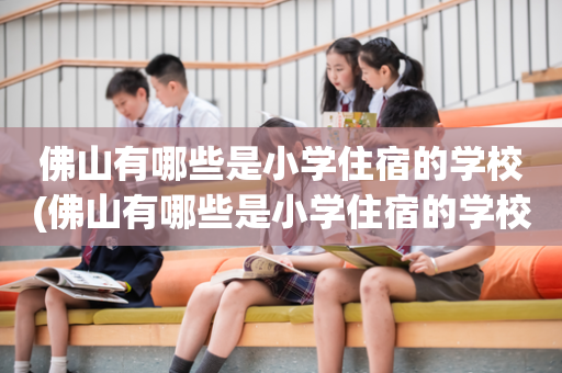 佛山有哪些是小学住宿的学校(佛山有哪些是小学住宿的学校呢)