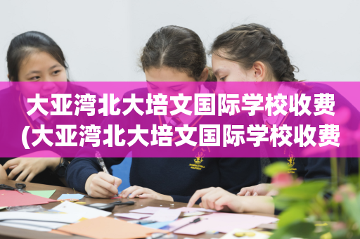 大亚湾北大培文国际学校收费(大亚湾北大培文国际学校收费2022)
