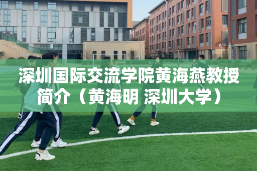 深圳国际交流学院黄海燕教授简介（黄海明 深圳大学）
