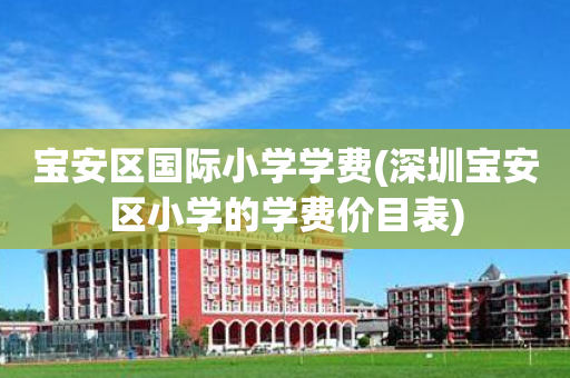 宝安区国际小学学费(深圳宝安区小学的学费价目表)