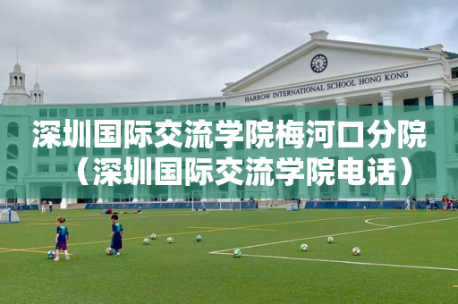 深圳国际交流学院梅河口分院（深圳国际交流学院电话）