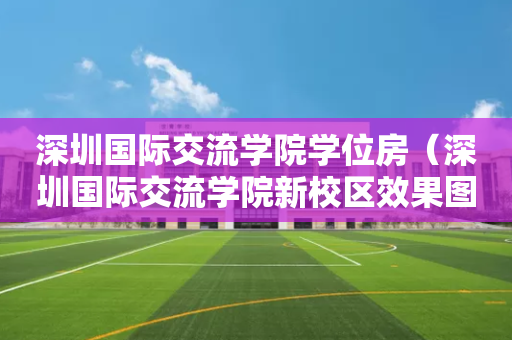 深圳国际交流学院学位房（深圳国际交流学院新校区效果图）