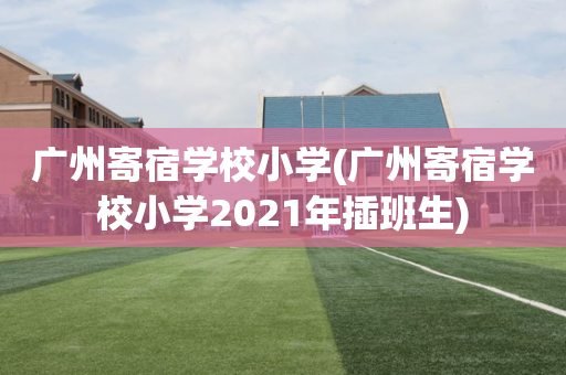 广州寄宿学校小学(广州寄宿学校小学2021年插班生)