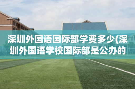 深圳外国语国际部学费多少(深圳外国语学校国际部是公办的吗)
