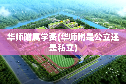 华师附属学费(华师附是公立还是私立)