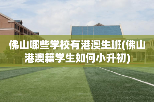 佛山哪些学校有港澳生班(佛山港澳籍学生如何小升初)