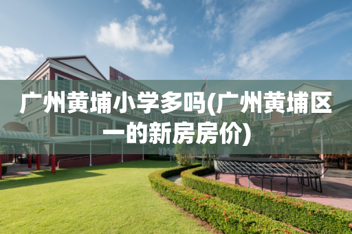 广州黄埔小学多吗(广州黄埔区一的新房房价)