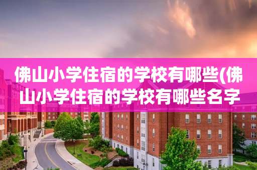 佛山小学住宿的学校有哪些(佛山小学住宿的学校有哪些名字)