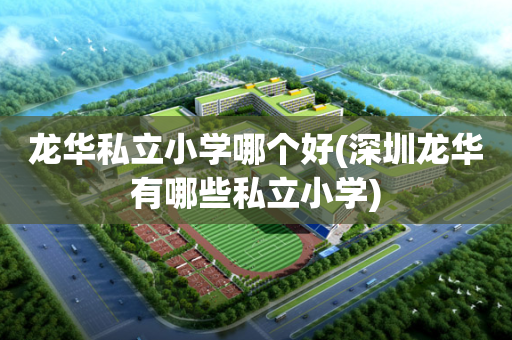 龙华私立小学哪个好(深圳龙华有哪些私立小学)