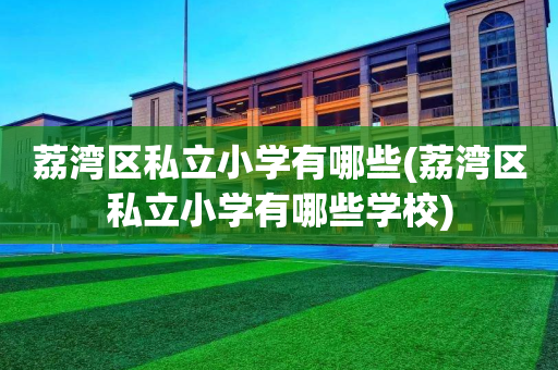 荔湾区私立小学有哪些(荔湾区私立小学有哪些学校)