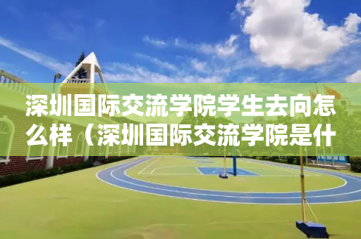 深圳国际交流学院学生去向怎么样（深圳国际交流学院是什么体系）