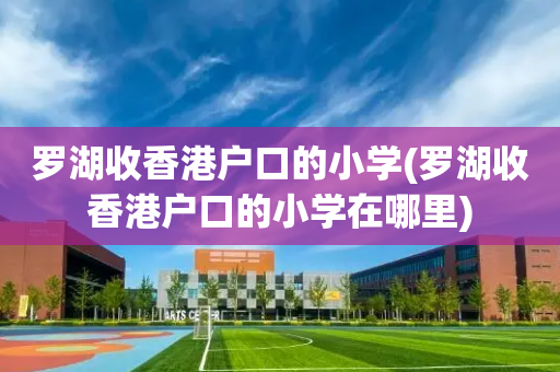 罗湖收香港户口的小学(罗湖收香港户口的小学在哪里)