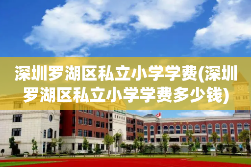深圳罗湖区私立小学学费(深圳罗湖区私立小学学费多少钱)