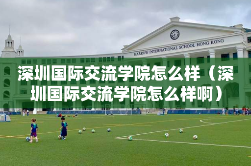 深圳国际交流学院怎么样（深圳国际交流学院怎么样啊）