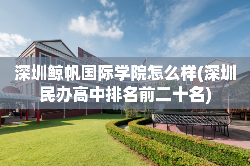深圳鲸帆国际学院怎么样(深圳民办高中排名前二十名)