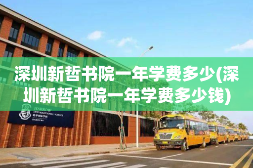 深圳新哲书院一年学费多少(深圳新哲书院一年学费多少钱)
