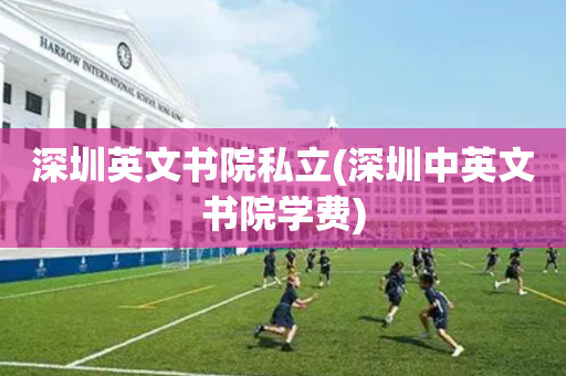 深圳英文书院私立(深圳中英文书院学费)