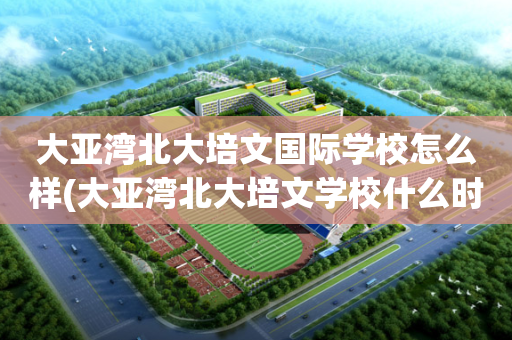 大亚湾北大培文国际学校怎么样(大亚湾北大培文学校什么时候成立的)