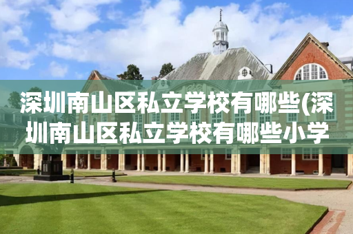 深圳南山区私立学校有哪些(深圳南山区私立学校有哪些小学)
