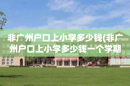 非广州户口上小学多少钱(非广州户口上小学多少钱一个学期)