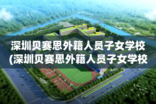 深圳贝赛思外籍人员子女学校(深圳贝赛思外籍人员子女学校怎么样)