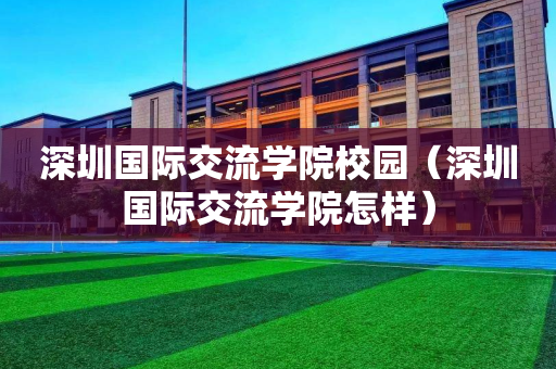 深圳国际交流学院校园（深圳国际交流学院怎样）