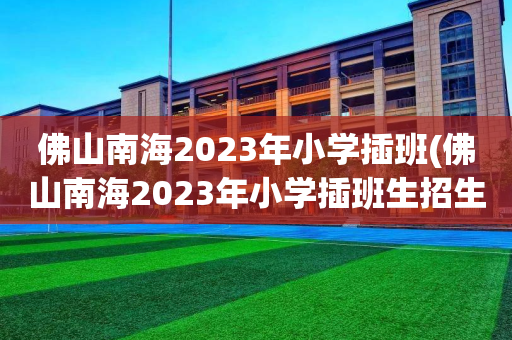 佛山南海2023年小学插班(佛山南海2023年小学插班生招生简章)