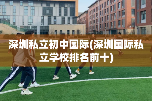 深圳私立初中国际(深圳国际私立学校排名前十)