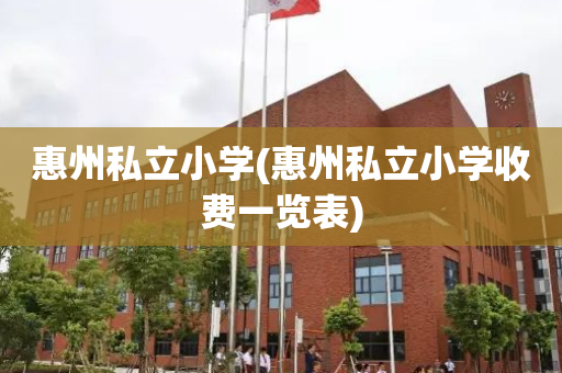 惠州私立小学(惠州私立小学收费一览表)