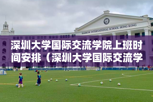 深圳大学国际交流学院上班时间安排（深圳大学国际交流学院院长）