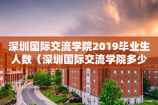 深圳国际交流学院2019毕业生人数（深圳国际交流学院多少人）