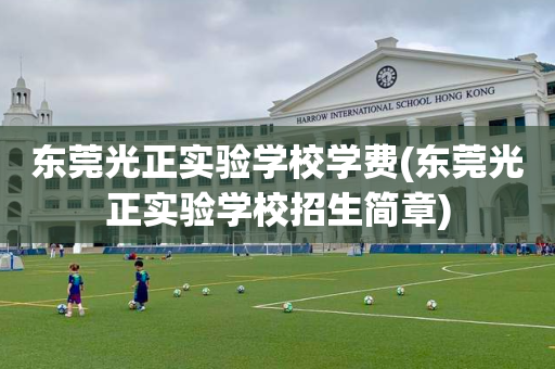 东莞光正实验学校学费(东莞光正实验学校招生简章)