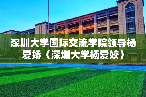 深圳大学国际交流学院领导杨爱娇（深圳大学杨爱姣）