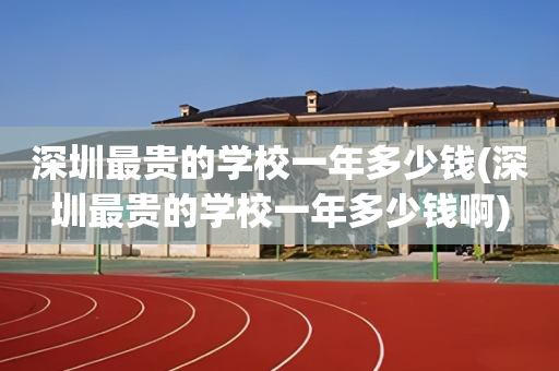 深圳最贵的学校一年多少钱(深圳最贵的学校一年多少钱啊)