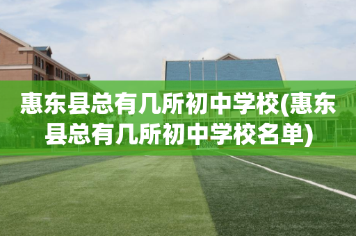 惠东县总有几所初中学校(惠东县总有几所初中学校名单)