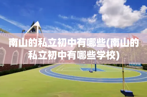 南山的私立初中有哪些(南山的私立初中有哪些学校)