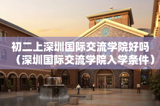初二上深圳国际交流学院好吗（深圳国际交流学院入学条件）
