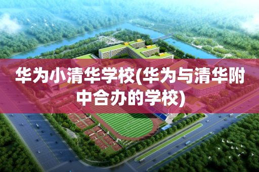华为小清华学校(华为与清华附中合办的学校)