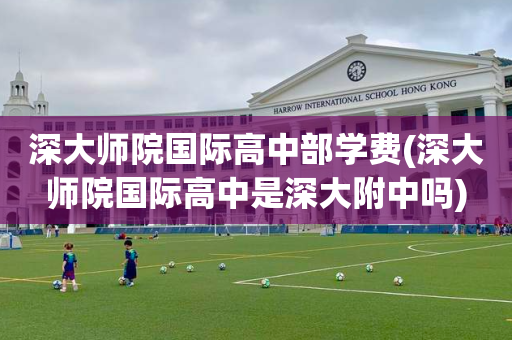 深大师院国际高中部学费(深大师院国际高中是深大附中吗)