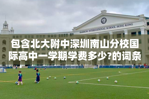 包含北大附中深圳南山分校国际高中一学期学费多少?的词条