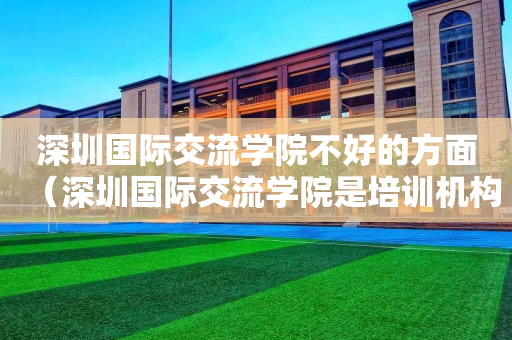 深圳国际交流学院不好的方面（深圳国际交流学院是培训机构吗）
