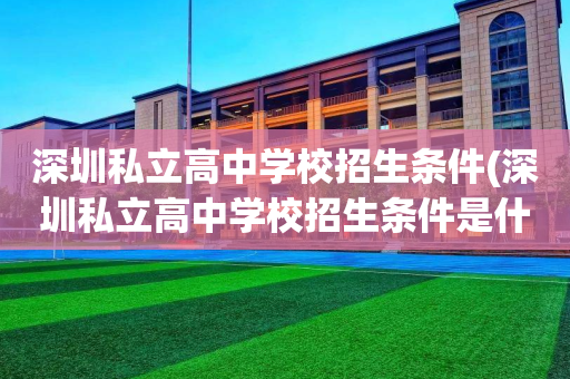 深圳私立高中学校招生条件(深圳私立高中学校招生条件是什么)