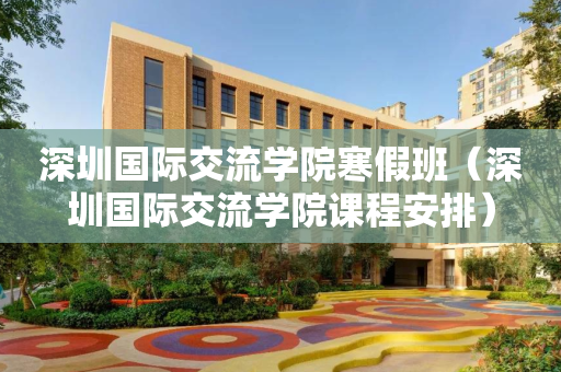 深圳国际交流学院寒假班（深圳国际交流学院课程安排）