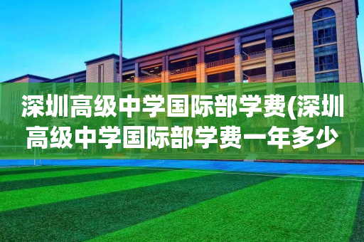 深圳高级中学国际部学费(深圳高级中学国际部学费一年多少)