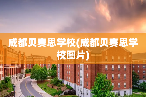 成都贝赛思学校(成都贝赛思学校图片)
