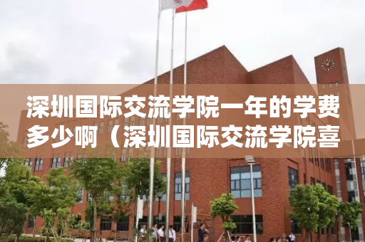 深圳国际交流学院一年的学费多少啊（深圳国际交流学院喜报）