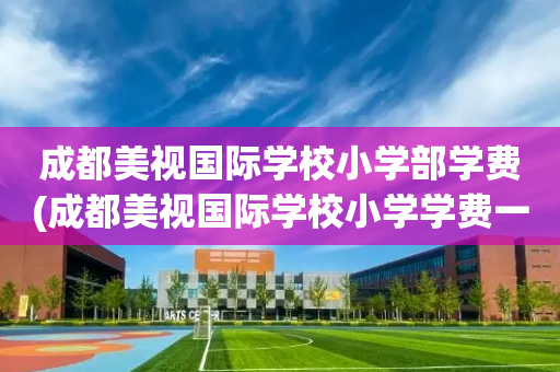 成都美视国际学校小学部学费(成都美视国际学校小学学费一年多少钱)