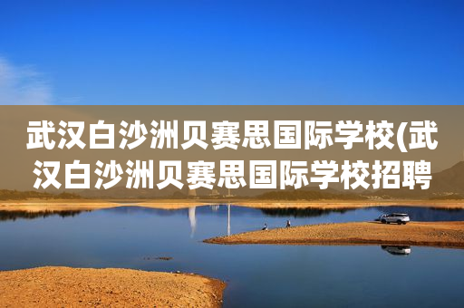 武汉白沙洲贝赛思国际学校(武汉白沙洲贝赛思国际学校招聘)