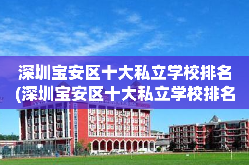 深圳宝安区十大私立学校排名(深圳宝安区十大私立学校排名榜)